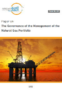 Paper on The Governance of the management of the natural Gas Portfolio