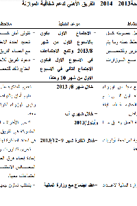 خطة الفريق الأهلي 2013-2014     