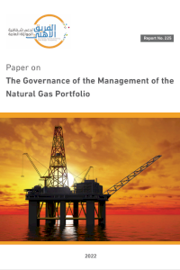 The Governance of the Management of the Natural Gas Portfolio