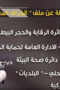 ائتلاف أمان يجدد مطالبته بتشكيل لجنة وطنية للتحقيق في موضوع اللحوم الحية المستوردة وقضية الكوتا