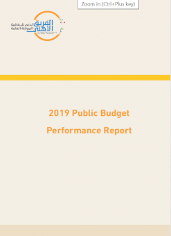2019 Public Budget Performance Report