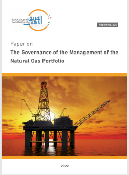 The Governance of the Management of the Natural Gas Portfolio