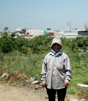 تقرير خاص عن الوضع البيئي في مدينة طولكرم