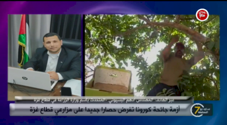 أزمة جائحة كورونا تفرض حصاراً جديداً على مزارعي قطاع غزة