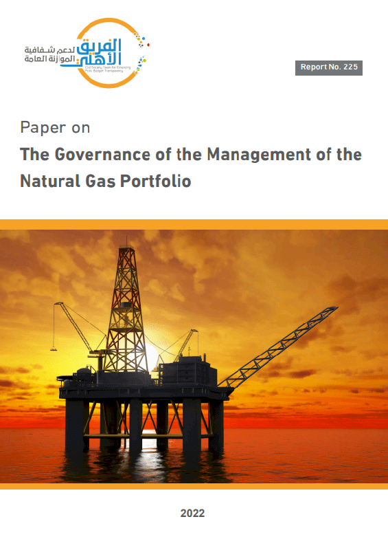 Paper on The Governance of the management of the natural Gas Portfolio