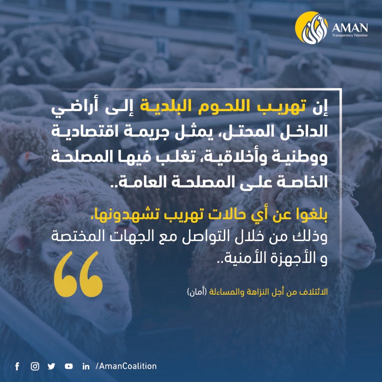 تهريب اللحوم البلدية إلى أراضي الداخل المحتل جريمة اقتصادية ووطنية