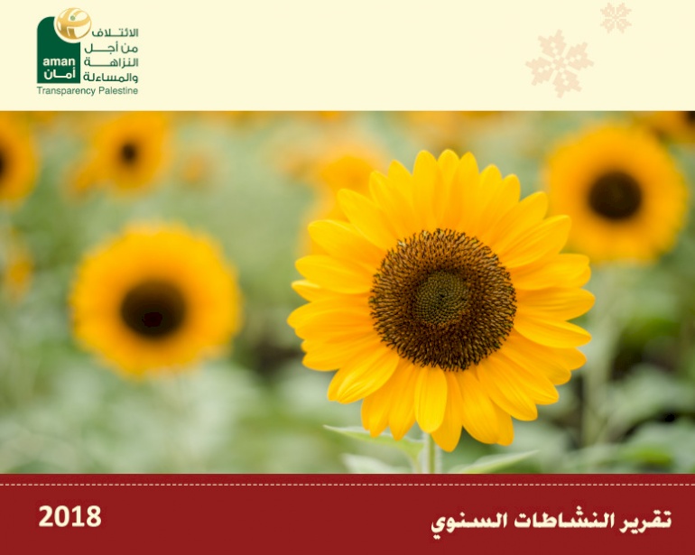 Activity Report for 2018