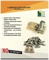 Corruption Report 2010
